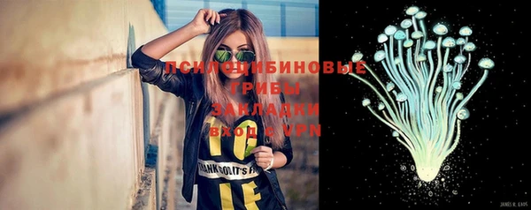 дмт Аркадак