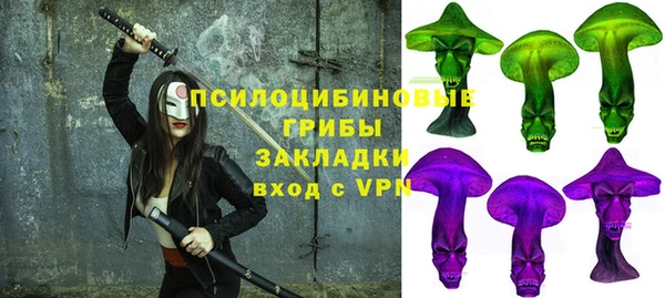 дмт Аркадак
