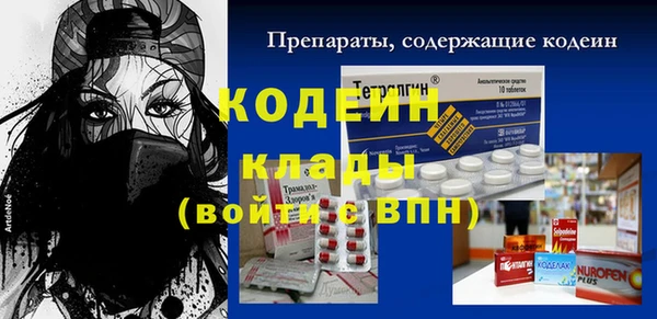 дмт Арсеньев