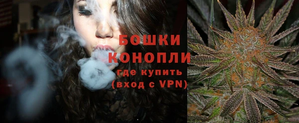 дмт Арсеньев